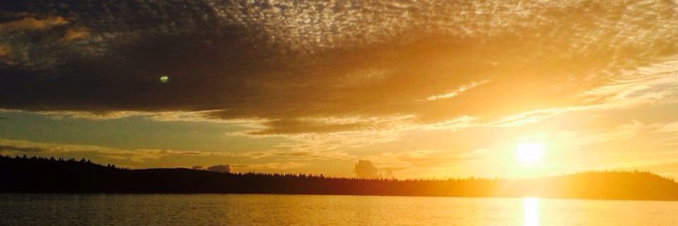 hell0jello's profile banner image