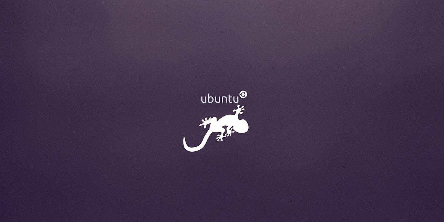 davi_lotus's profile banner image