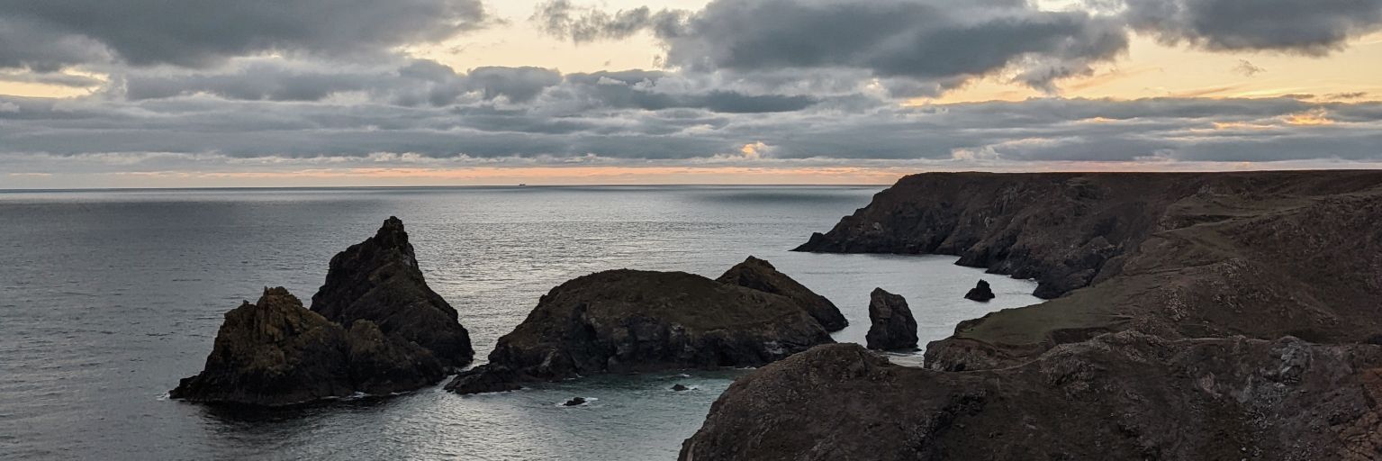 CoralWalters's profile banner image