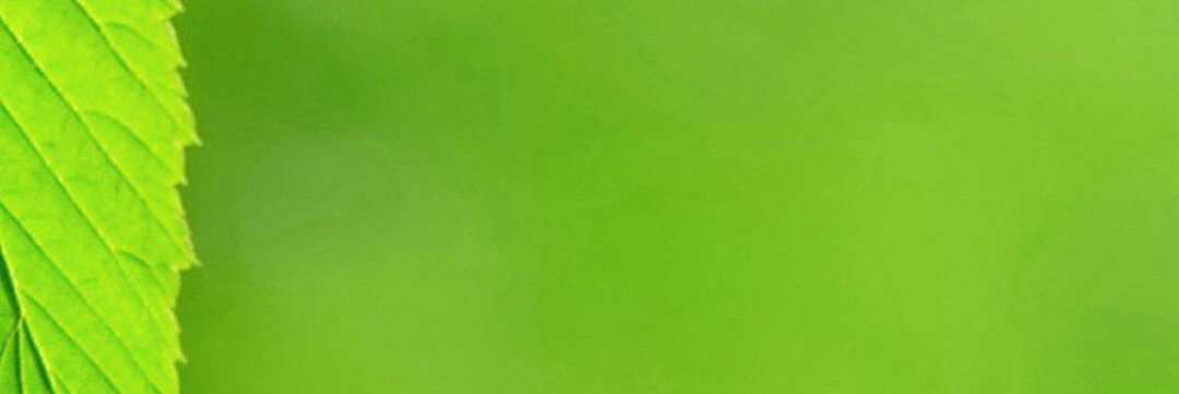 gerald__austria's profile banner image