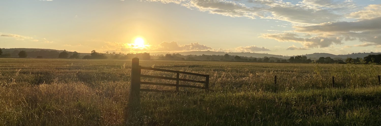 ErinSantillo's profile banner image