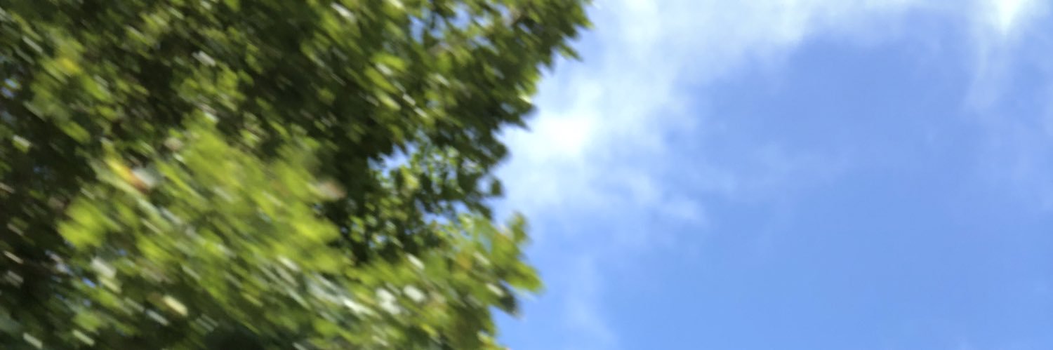 evy_ruth_'s profile banner image