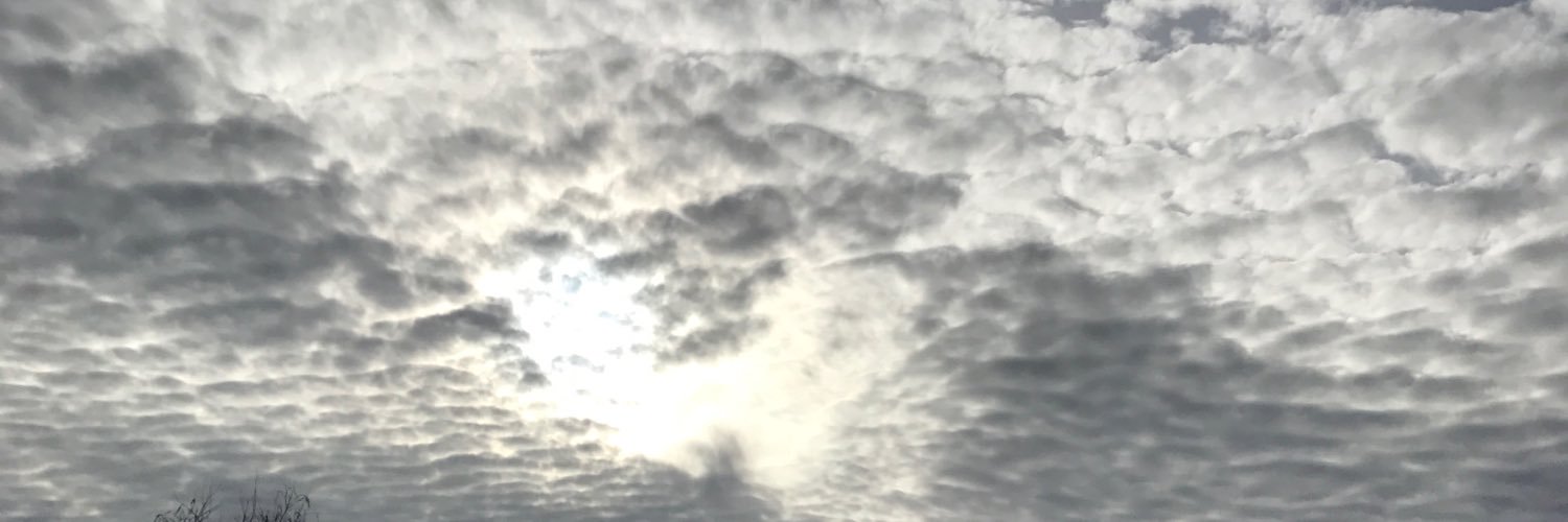 to_wake's profile banner image
