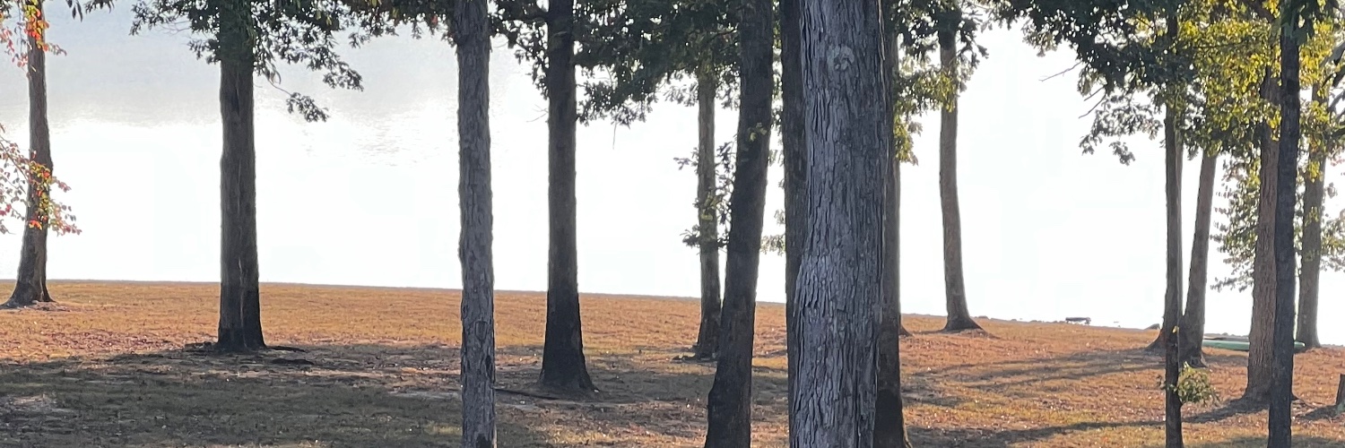bobadams22's profile banner image