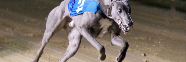 SALACRES Profile Banner