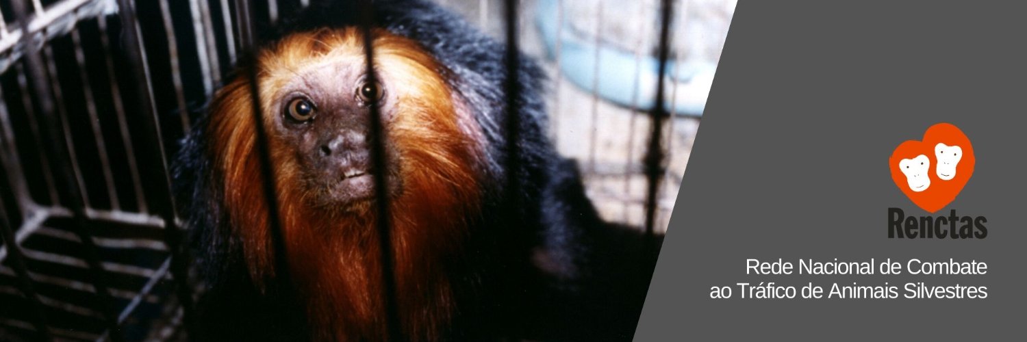 Pare o tráfico de animais! banner