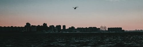 alayedhsaad's profile banner image
