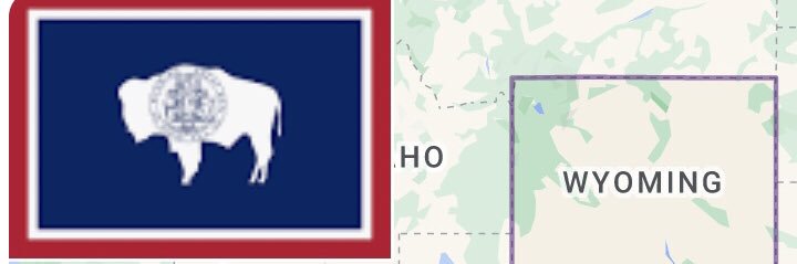 Dawn the rural white 🪳 banner