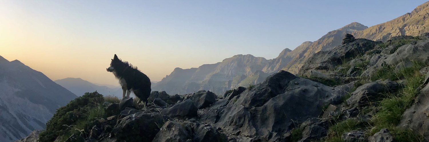 domenecorrit's profile banner image