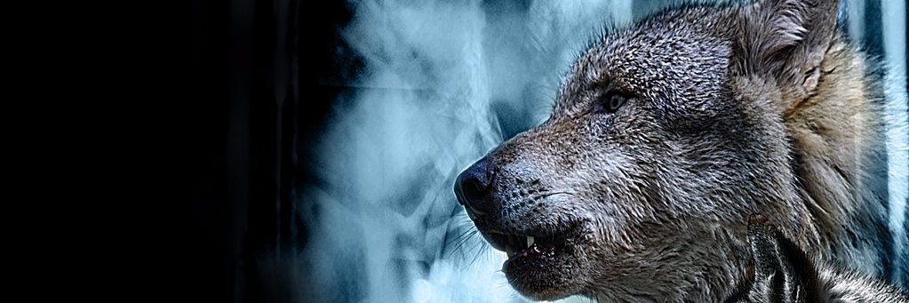 hiddenchaos123's profile banner image