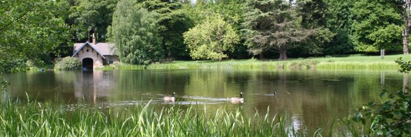 CarpmanCrow Profile Banner