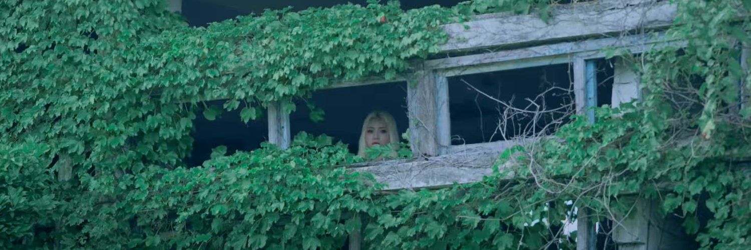 chaotic velocas 🍂 banner