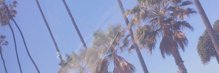 Jasmineharm0n's profile banner image
