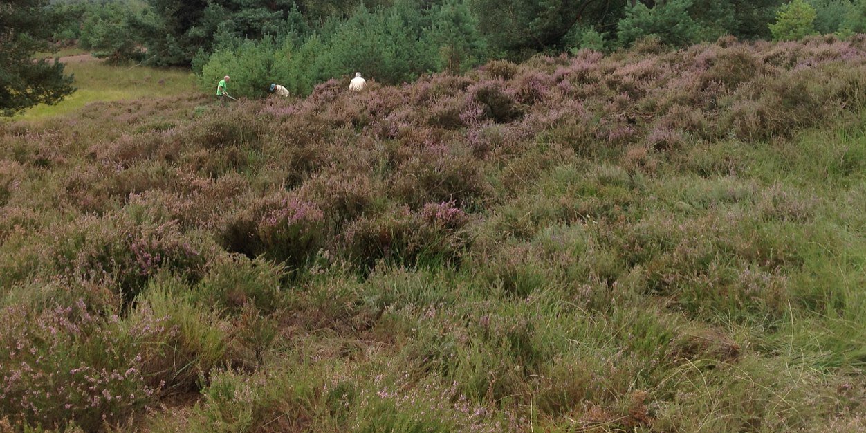 Mirjam Lammertink banner