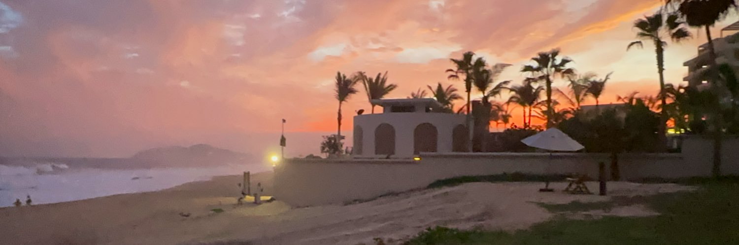SwayzeeChip's profile banner image