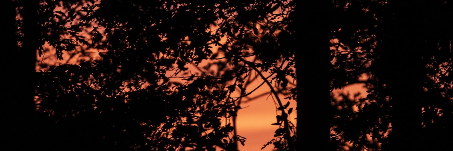 AConner_30's profile banner image