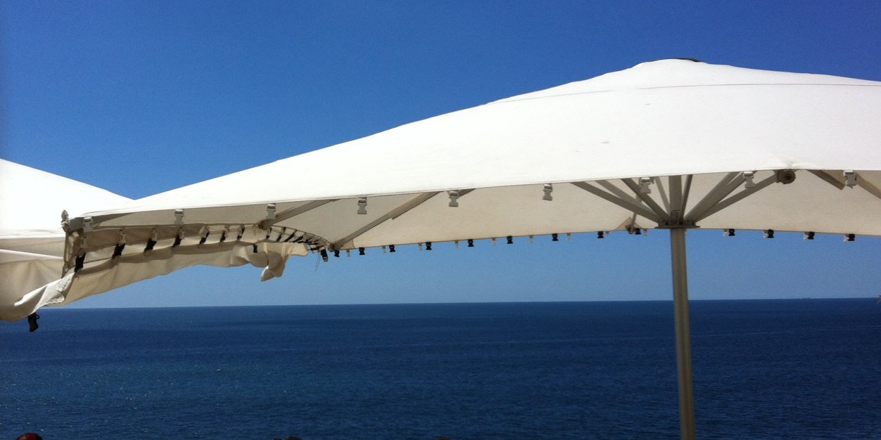 carolina sibrian banner