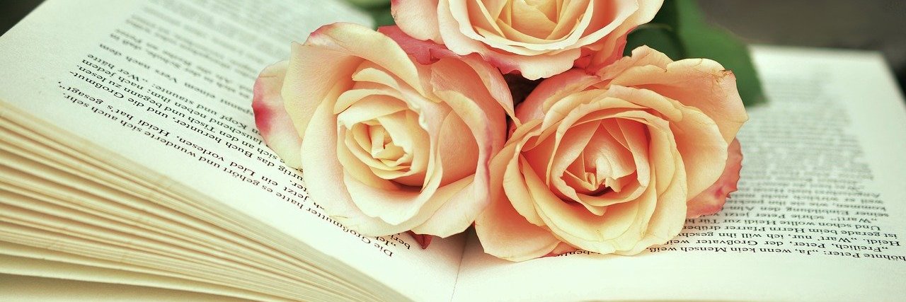 MiriamLogan's profile banner image