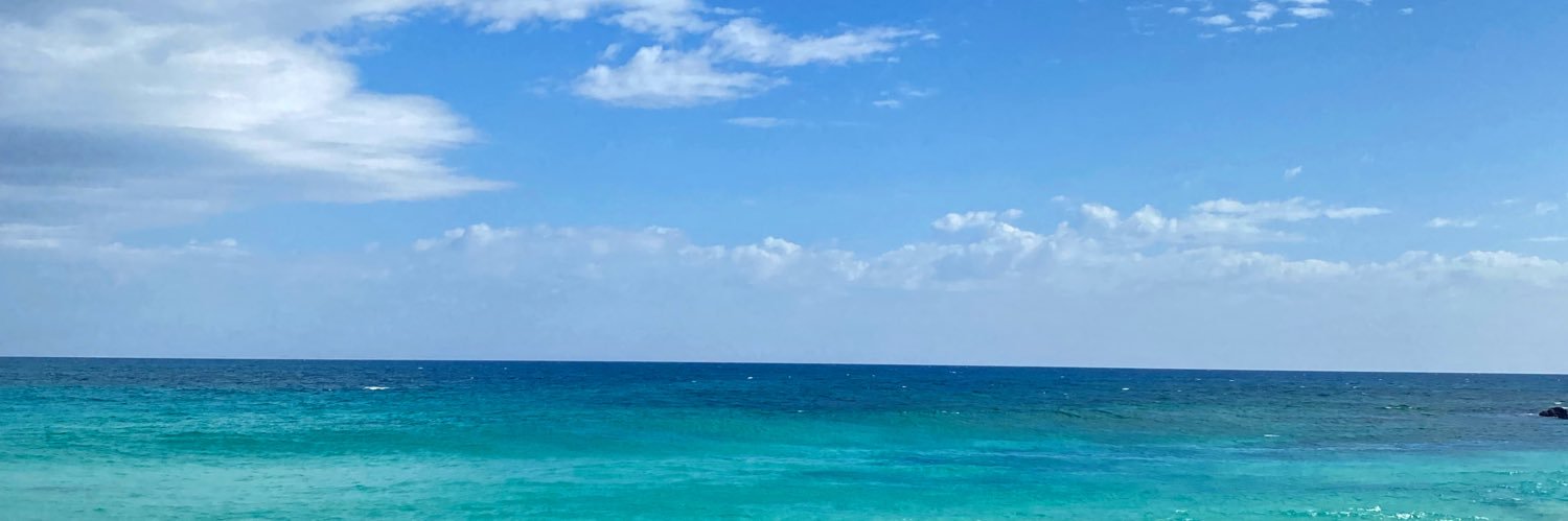 soyleonetti's profile banner image
