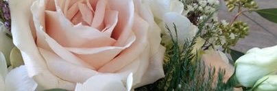 Chris Donnelly banner