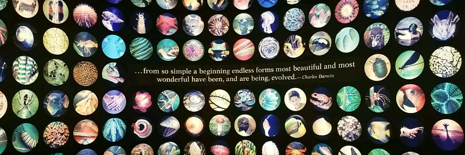 kenyashaw's profile banner image