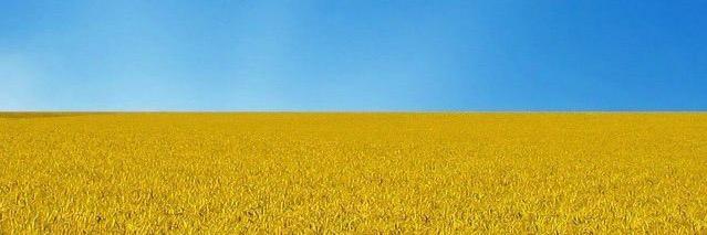 Сашка banner