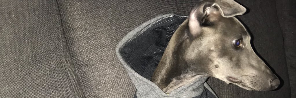rosshammy's profile banner image