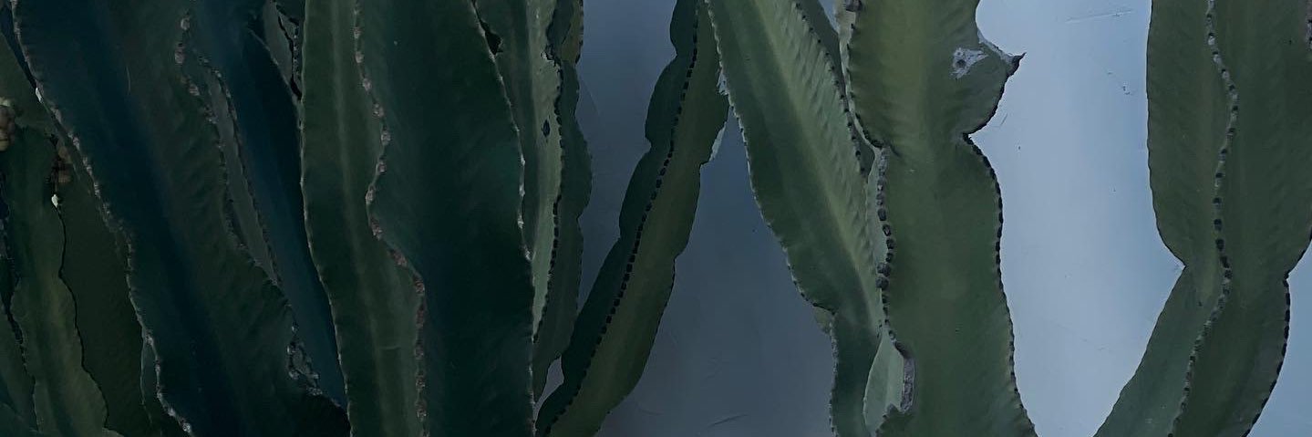 hannah_macsy's profile banner image