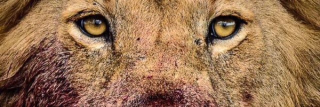 AC_THA_1's profile banner image