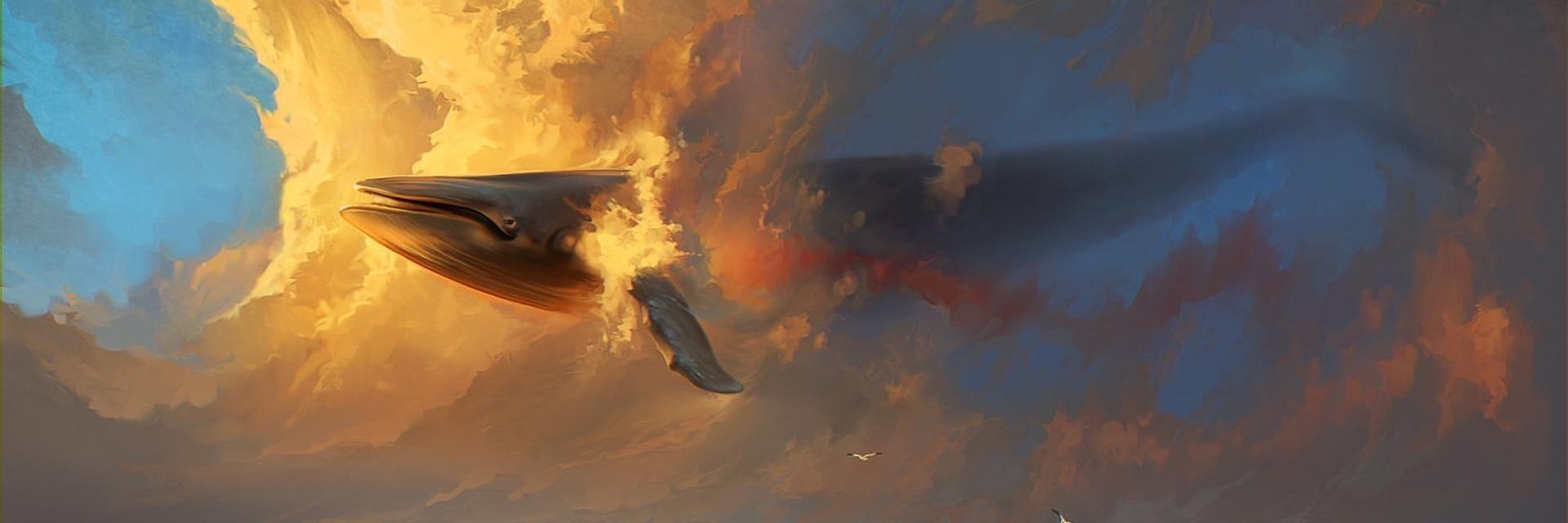 xhead72's profile banner image