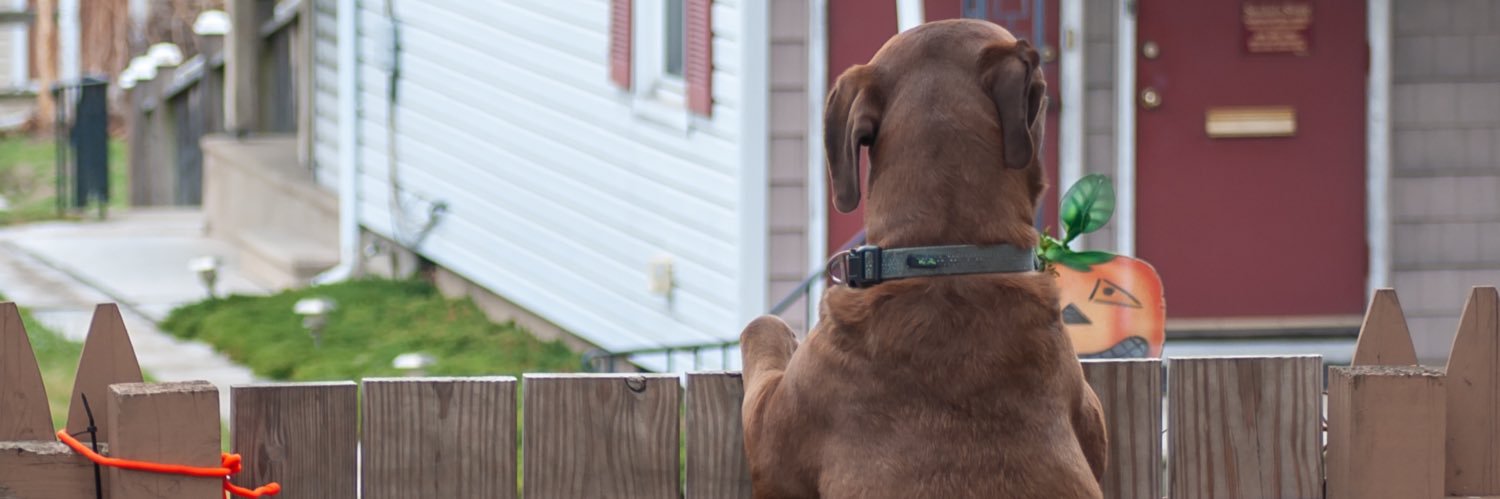SJessN's profile banner image
