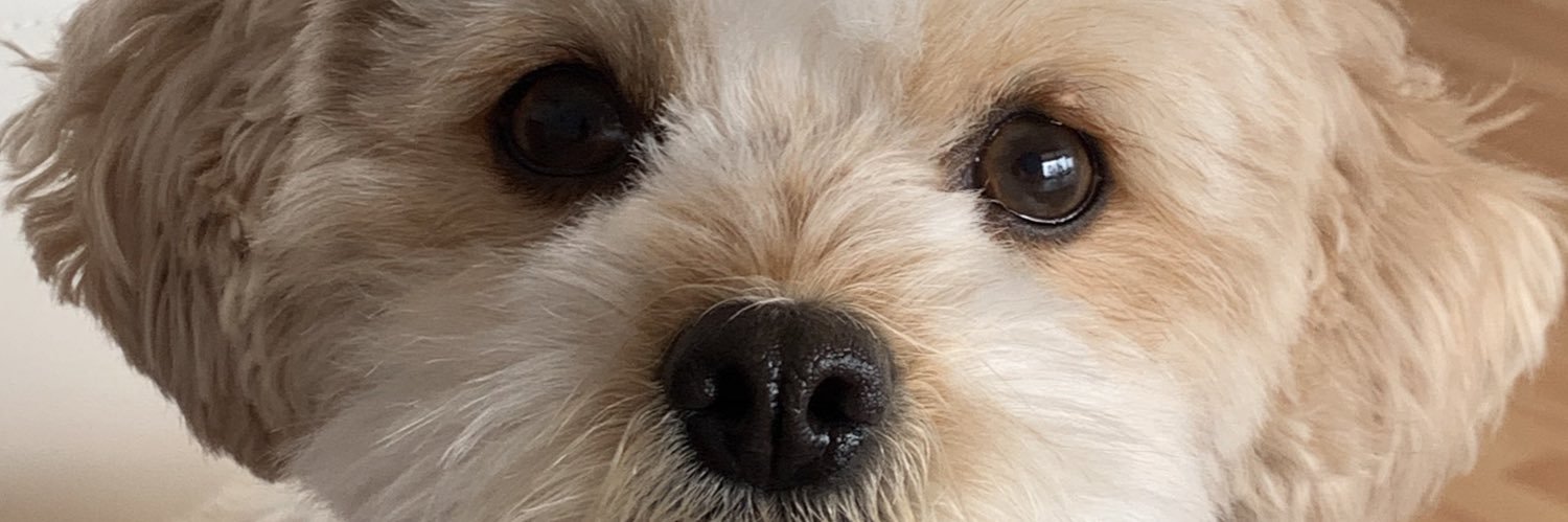 Peter_dpv's profile banner image