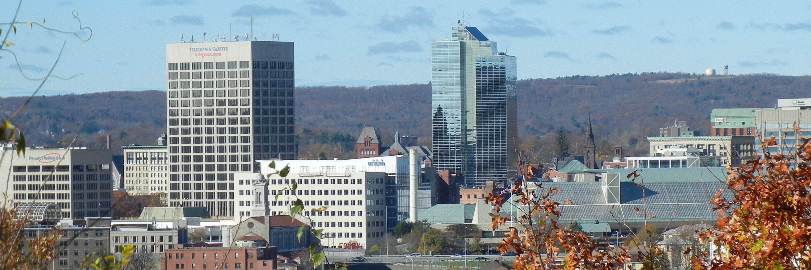 Lisa Eckelbecker banner