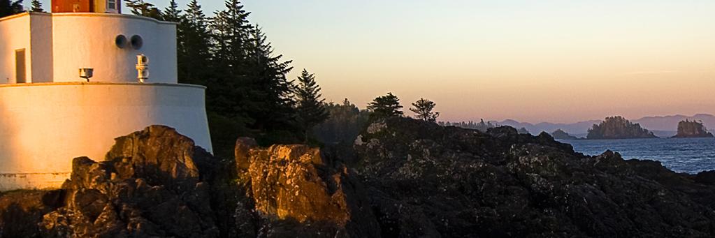 Chantelle Dunbar banner