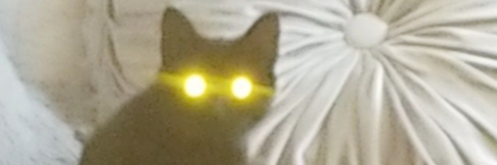 BettaGetAHoldOn's profile banner image