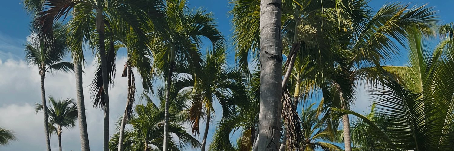 mô🌛 banner