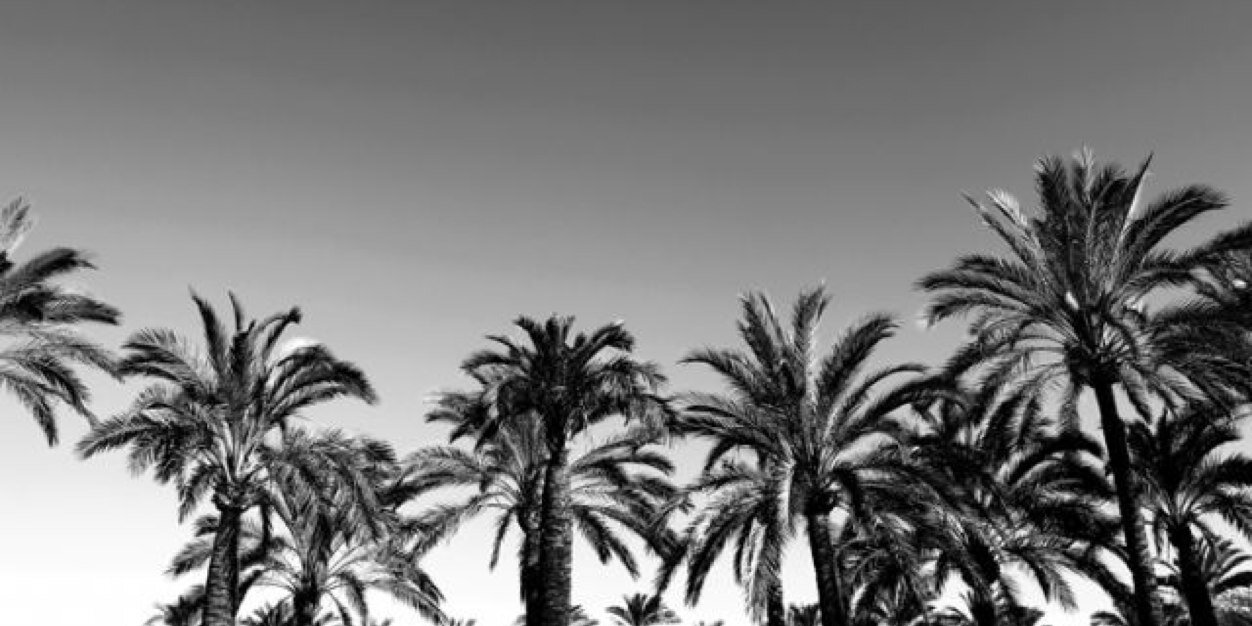 tinaciric's profile banner image