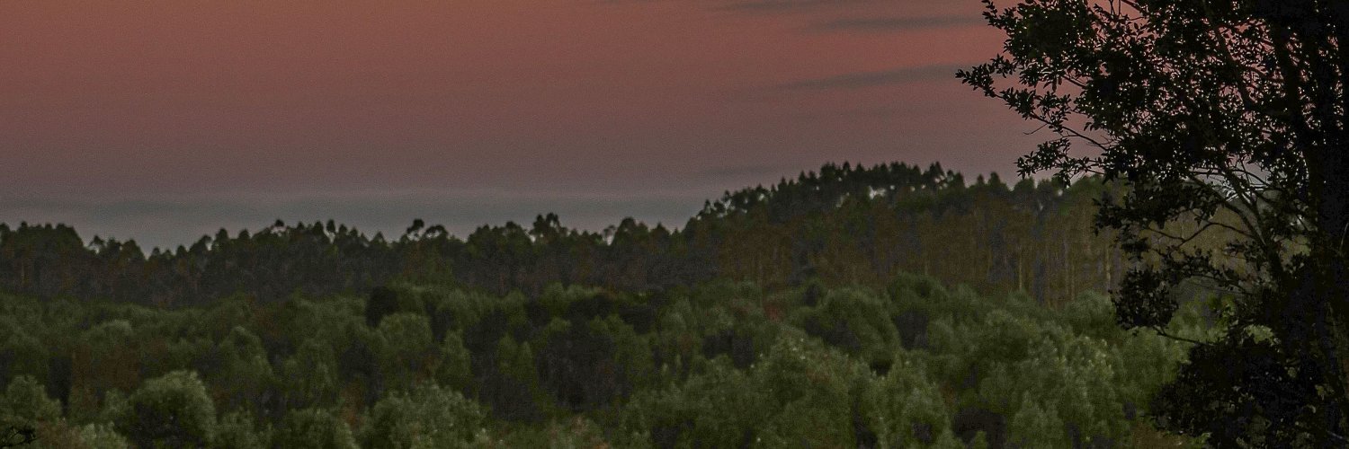 Carlos Reyes M banner
