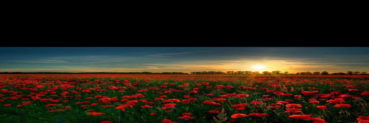 Commyraph1's profile banner image