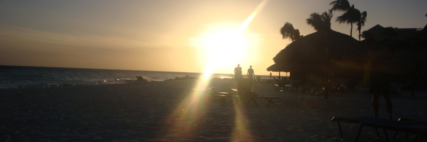 Sian McCarthy banner