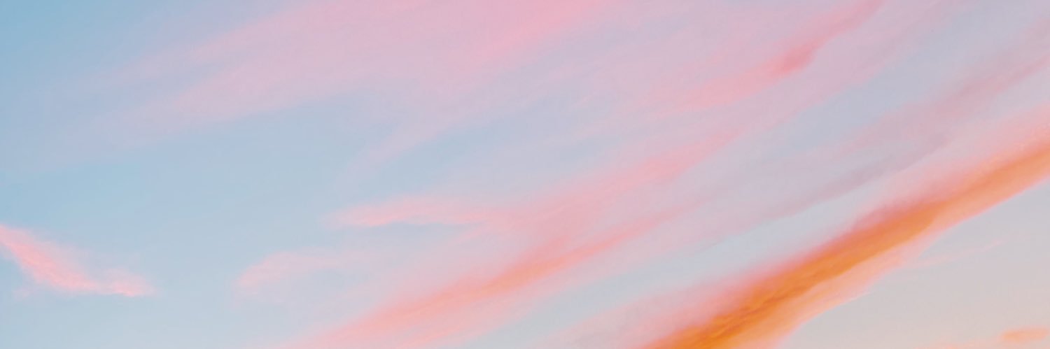 haley_elsey's profile banner image