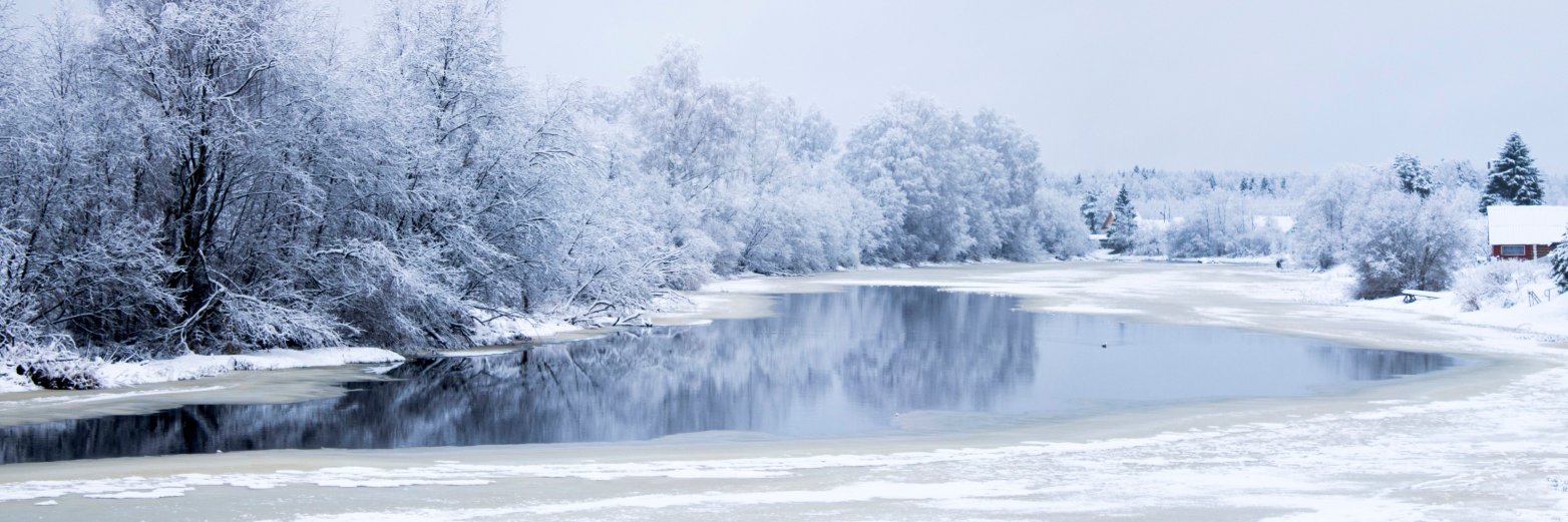 Николай Бекешкин banner