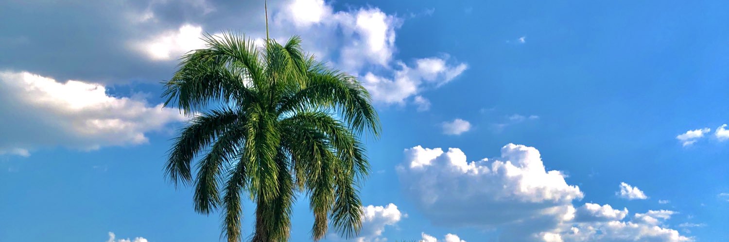 LauriiRolon's profile banner image