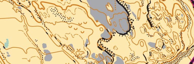 airienteers banner
