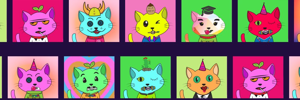 CaringcatsNFT banner