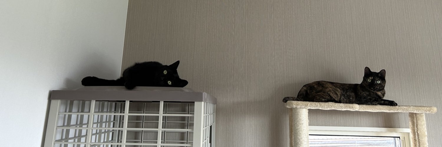 黒猫ロンとサビ猫ラムとお母さん banner