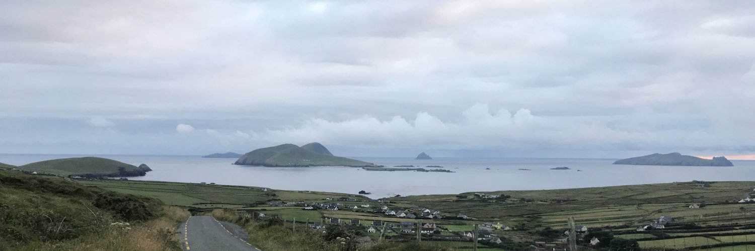 Dr Reena Cole banner