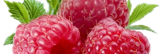 (¯`◕‿◕´¯) ♫ ♪ ♫ jafreenas ♫ ♪ ♫ (¯`◕‿◕´¯)ღ banner