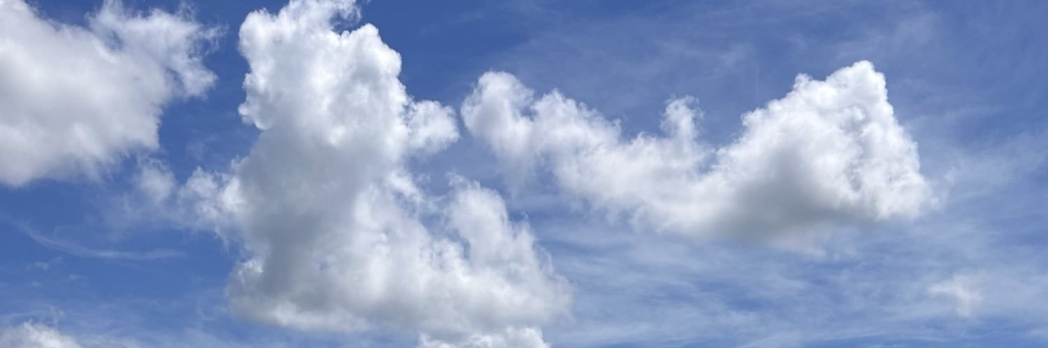 ivethalarcon1's profile banner image