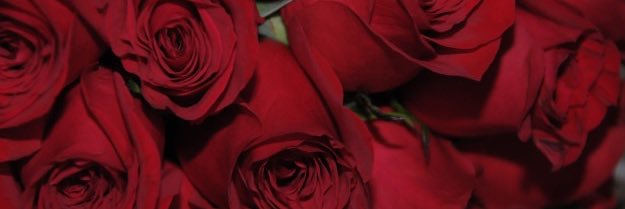 AnnasEssentials's profile banner image
